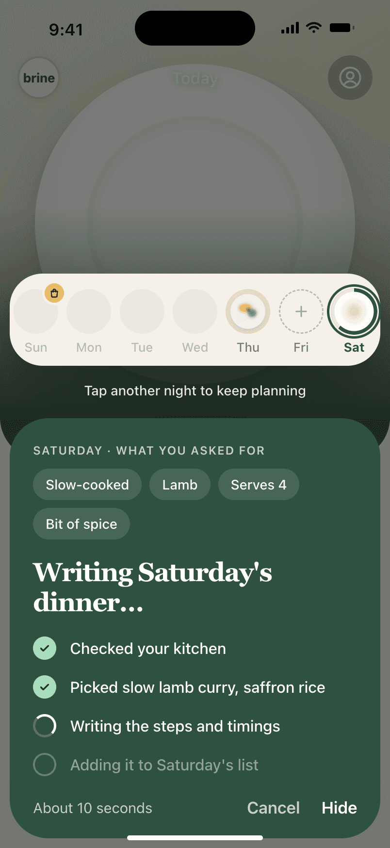 Brine writing Saturday’s dinner: it checked the kitchen, picked slow lamb curry with saffron rice and is writing the steps.